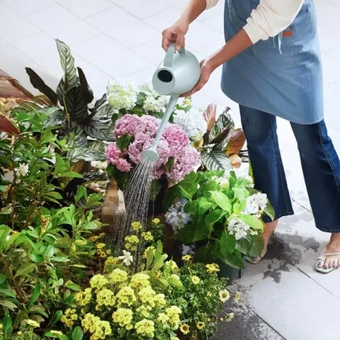 Camera ngoài trời EufyCam Solo Pro 2K - AKIA Smart Home