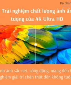 Tivi Xiaomi Tv P1 55Inch