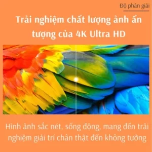 Tivi Xiaomi Tv P1 43Inch