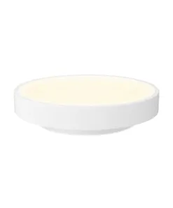 Đèn ốp trần thông minh Yeelight LED Ceiling Light Pro - 320mm - Quốc Tế