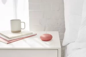 Hướng Dẫn Cài Đặt Và Sử Dụng Google Home Mini