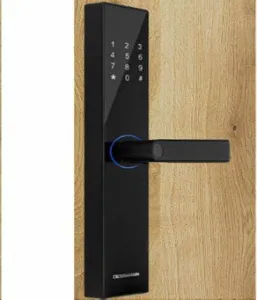 Top 15 Các Loại Khóa Cửa Thông Minh Giá Rẻ Tốt Nhất 2023 44 Dessman Là Một Thương Hiệu Đến Từ Đức Các Sản Phẩm Khóa Thông Minh Chất Lượng Và Uy Tín