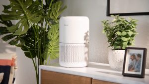 Máy Lọc Không Khí Levoit True Hepa - Hướng Dẫn Sử Dụng Core 300