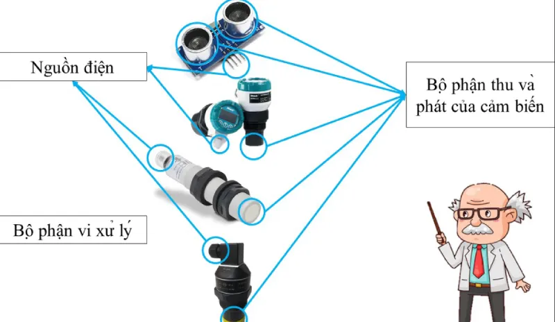 Cảm Biến Chuyển Động Là Gì? Nguyên Lý &Amp; Ứng Dụng Phổ Biến 3 Cấu Tạo Cảm Biến Chuyển Động Sóng Siêu Âm