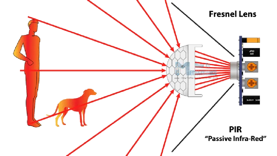 Cảm Biến Chuyển Động Là Gì? Nguyên Lý &Amp; Ứng Dụng Phổ Biến 5 Cảm Biến Chuyển Động Hồng Ngoại