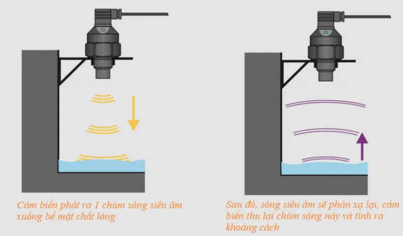 Cảm Biến Chuyển Động Là Gì? Nguyên Lý &Amp; Ứng Dụng Phổ Biến 7 Cảm Biến Sóng Siêu Âm
