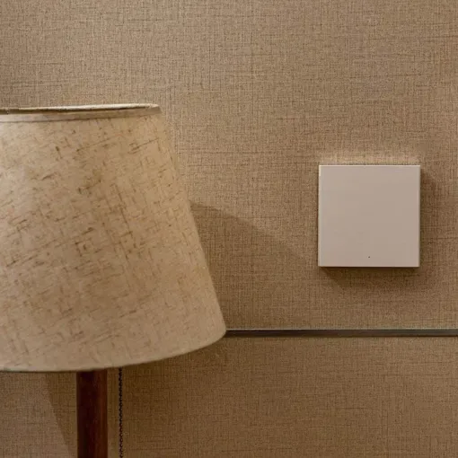 Công tắc Aqara D1