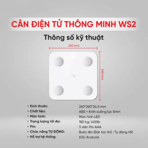 Cân điện tử thông minh 365 Selection WS2