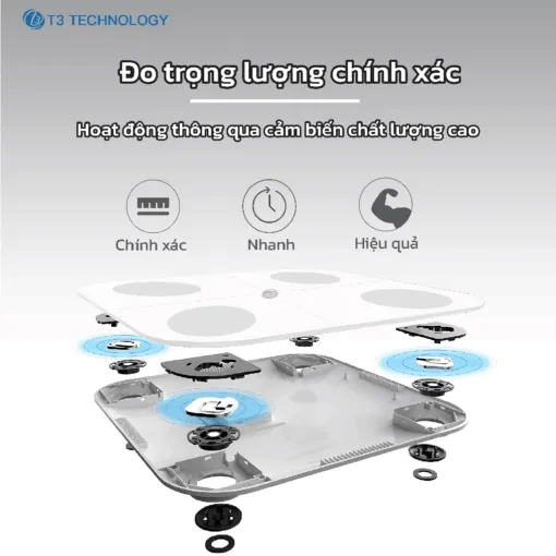 Cân thông minh T3 Smart WS1