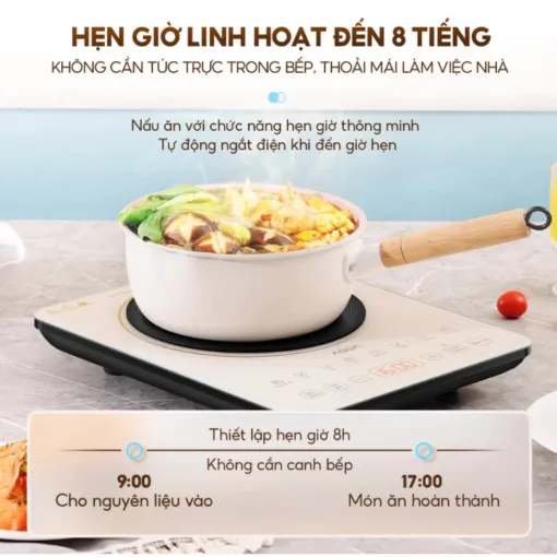 Bếp điện từ AQUA AQS-ICT2201R(C)-VN