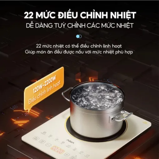 Bếp điện từ AQUA AQS-ICT2201R(C)-VN