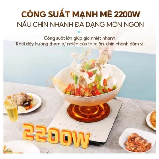 Bếp điện từ AQUA AQS-ICT2201R(C)-VN