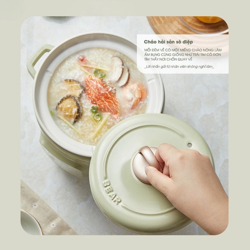 Nồi Nấu Chậm Đa Năng 2.0L Bear Sb-Nnc20