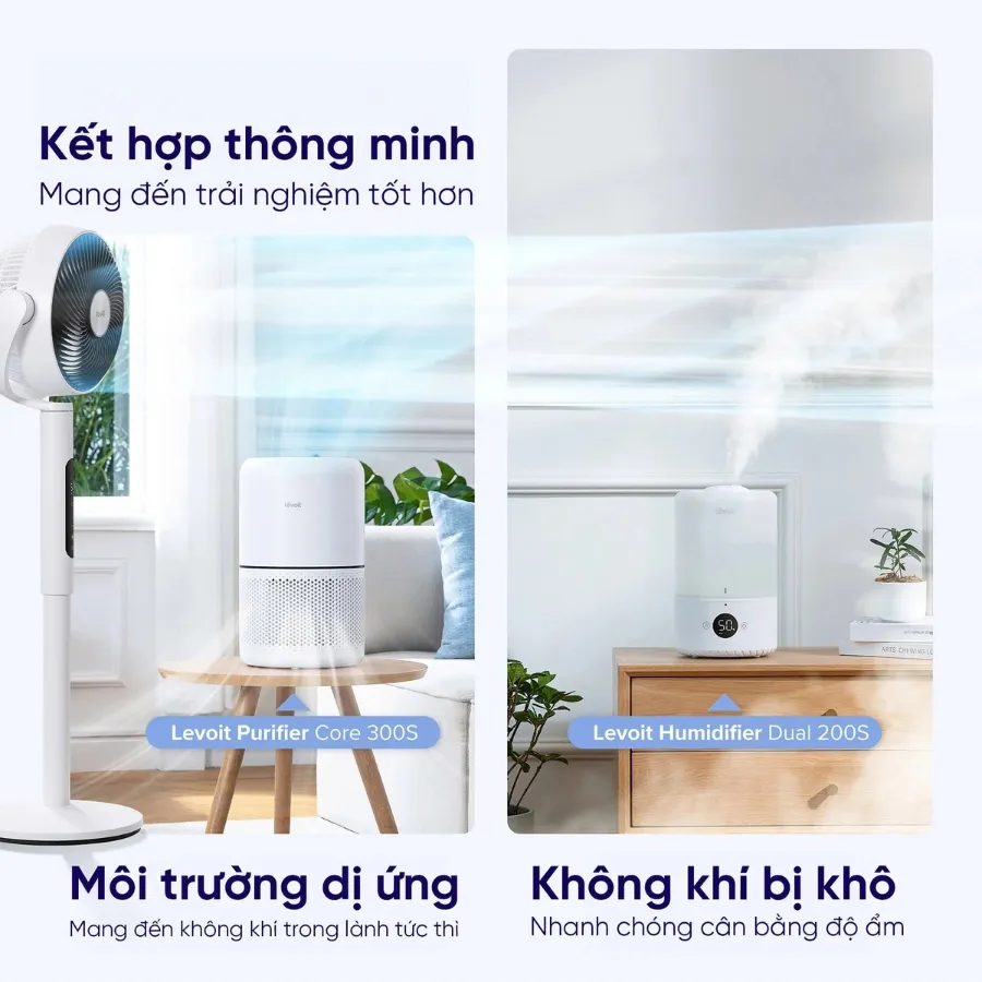Quạt Tuần Hoàn Không Khí Levoit Circulair 22.9Cm 4 Quạt Tuần Hoàn Không Khí Levoit Circulair